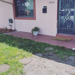 Impact Windows & Doors 