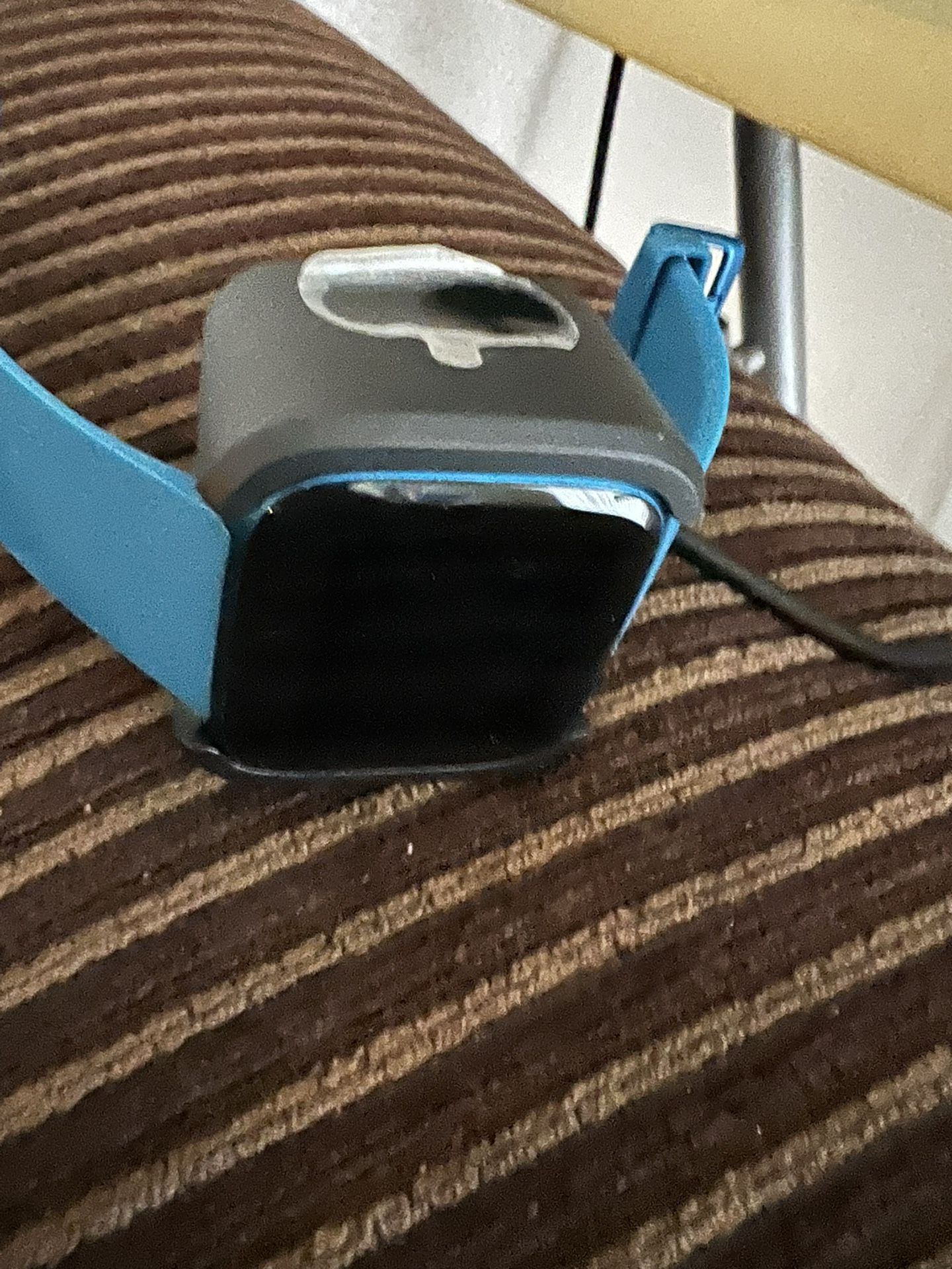 Fitbit 