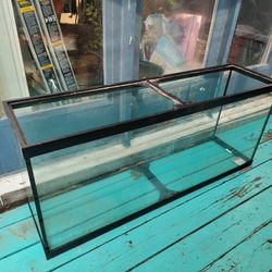 50 Gallon Aquarium