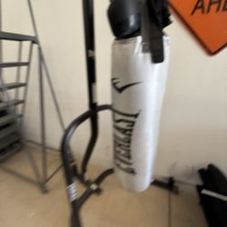 Punching Bag And Stand And Gloves 