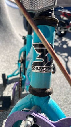 Dynasty Beautiful Dreamer