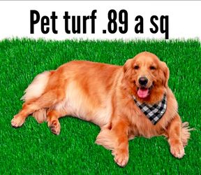 Pet turf .99 a sq -temecula