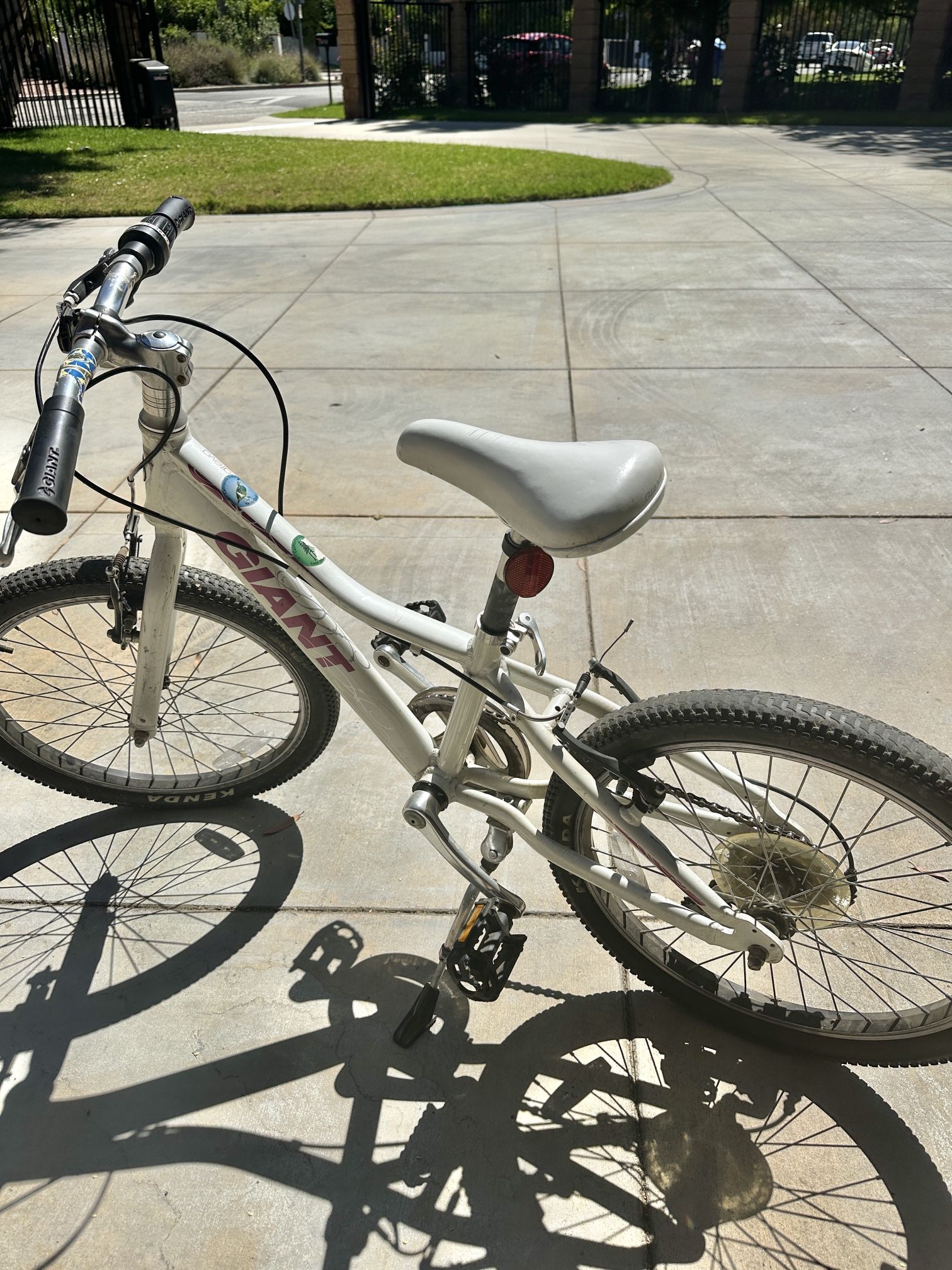 Giant kids bike