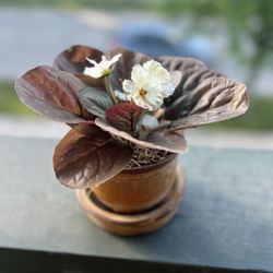 Small fake flower in a planter