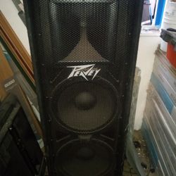Peavy Speaker 