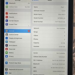 Ipad Mini 32gb Black Cellular