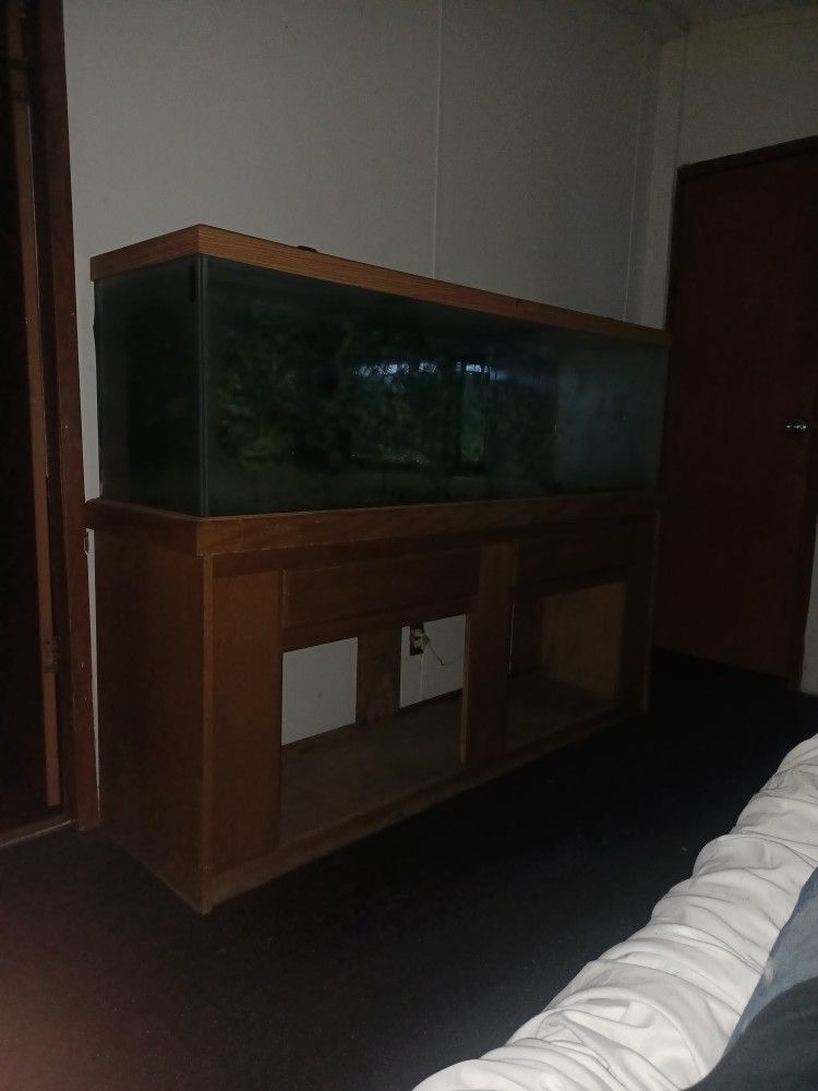 125 Gallon Fishtank