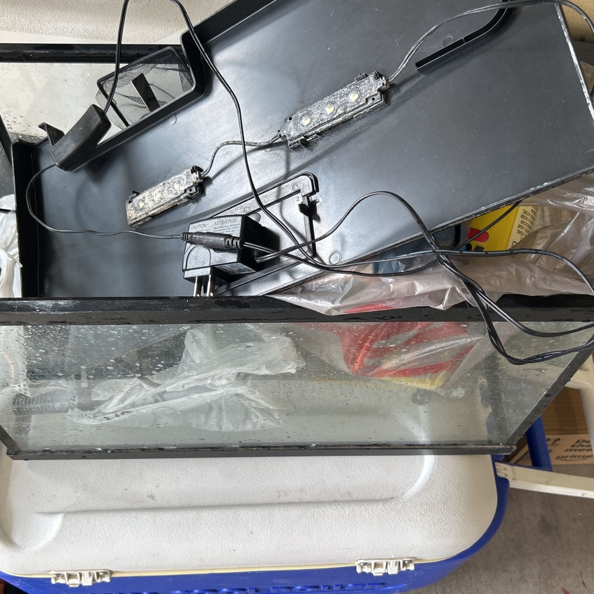 10 Gallon Fish Tank