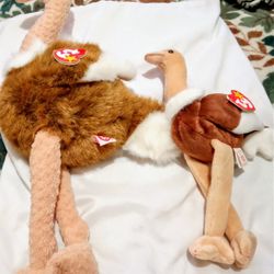 TY OSTRICH BEANIE BABY BUDDY/ BEANIE BABY  SET