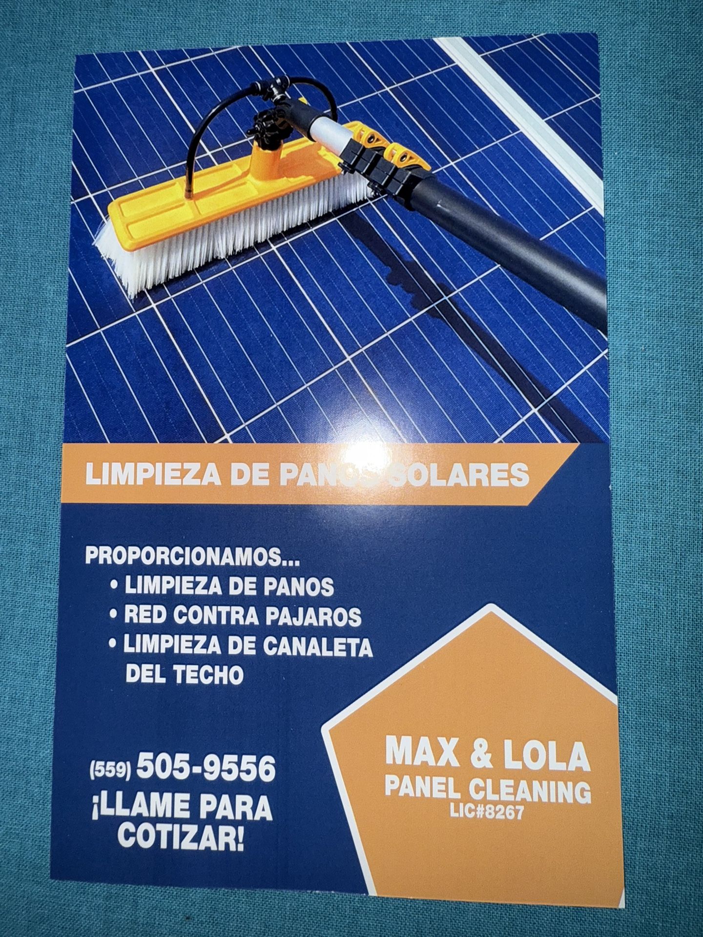Cleaning Panels