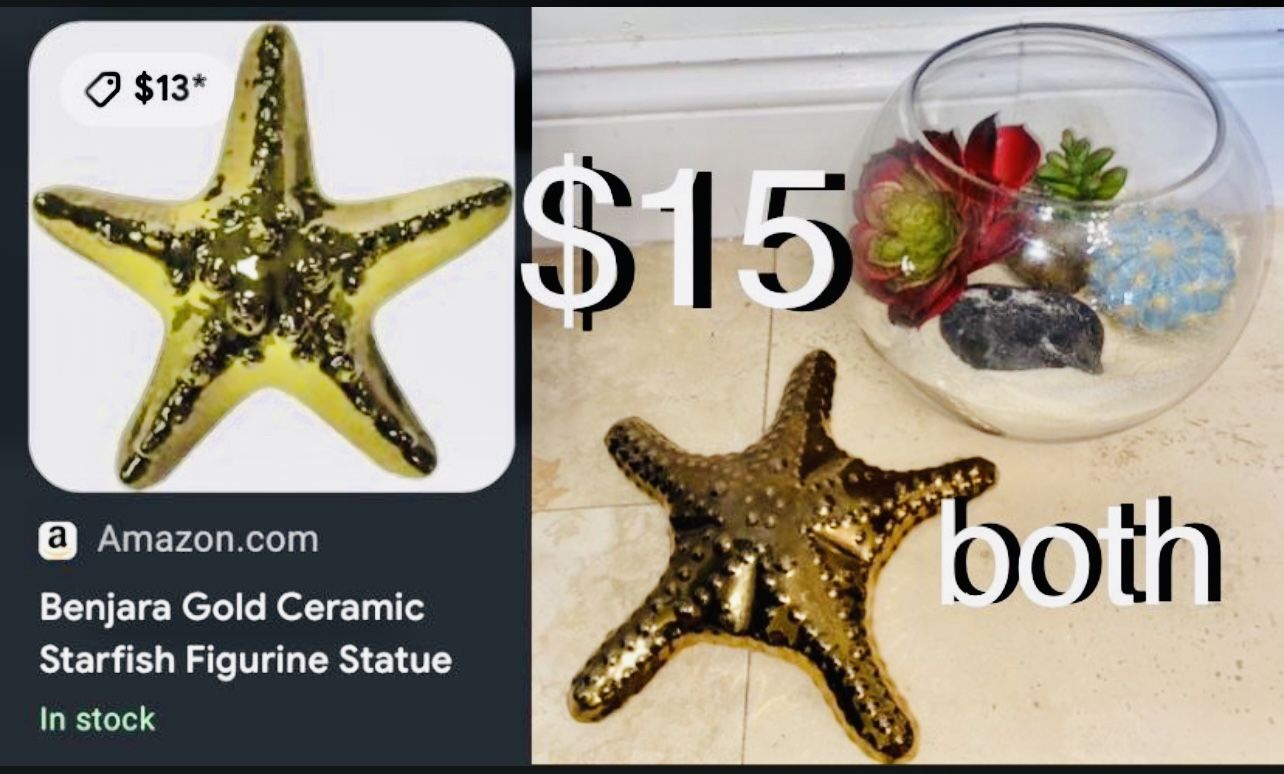 Nautical Decor Center Piece Artificial Succulent  & A Ceramic Sea Star ⭐️ Both For $15 