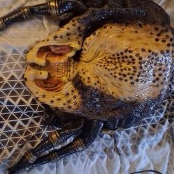 Full Predator Costume 