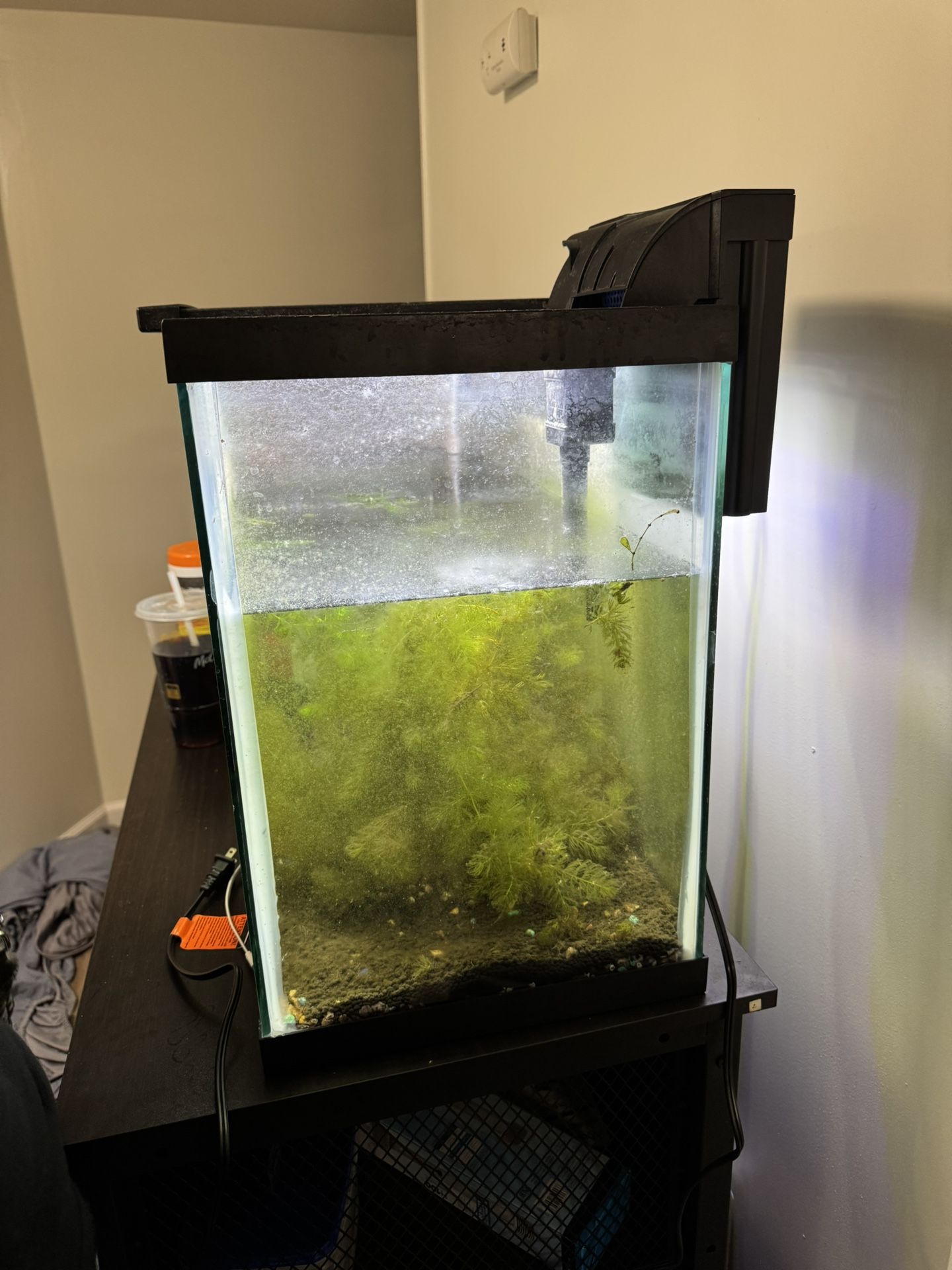 29 gal tank