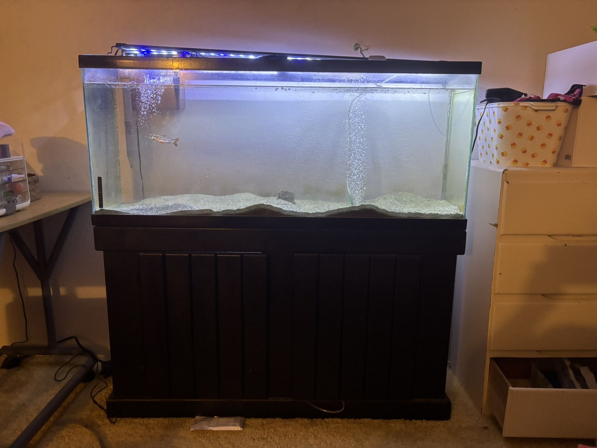 Fish Tank