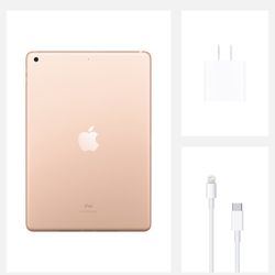 Apple iPad 