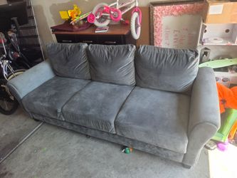 Sofa gray color