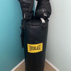 Everlast Heavy Weight Bag & Hayabusa Boxing Gloves