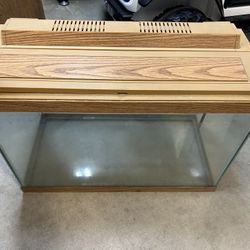 Fish Tank 