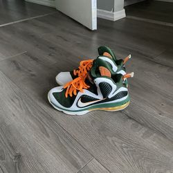 Lebron Hurricane 🌀 9’s Size 8.5