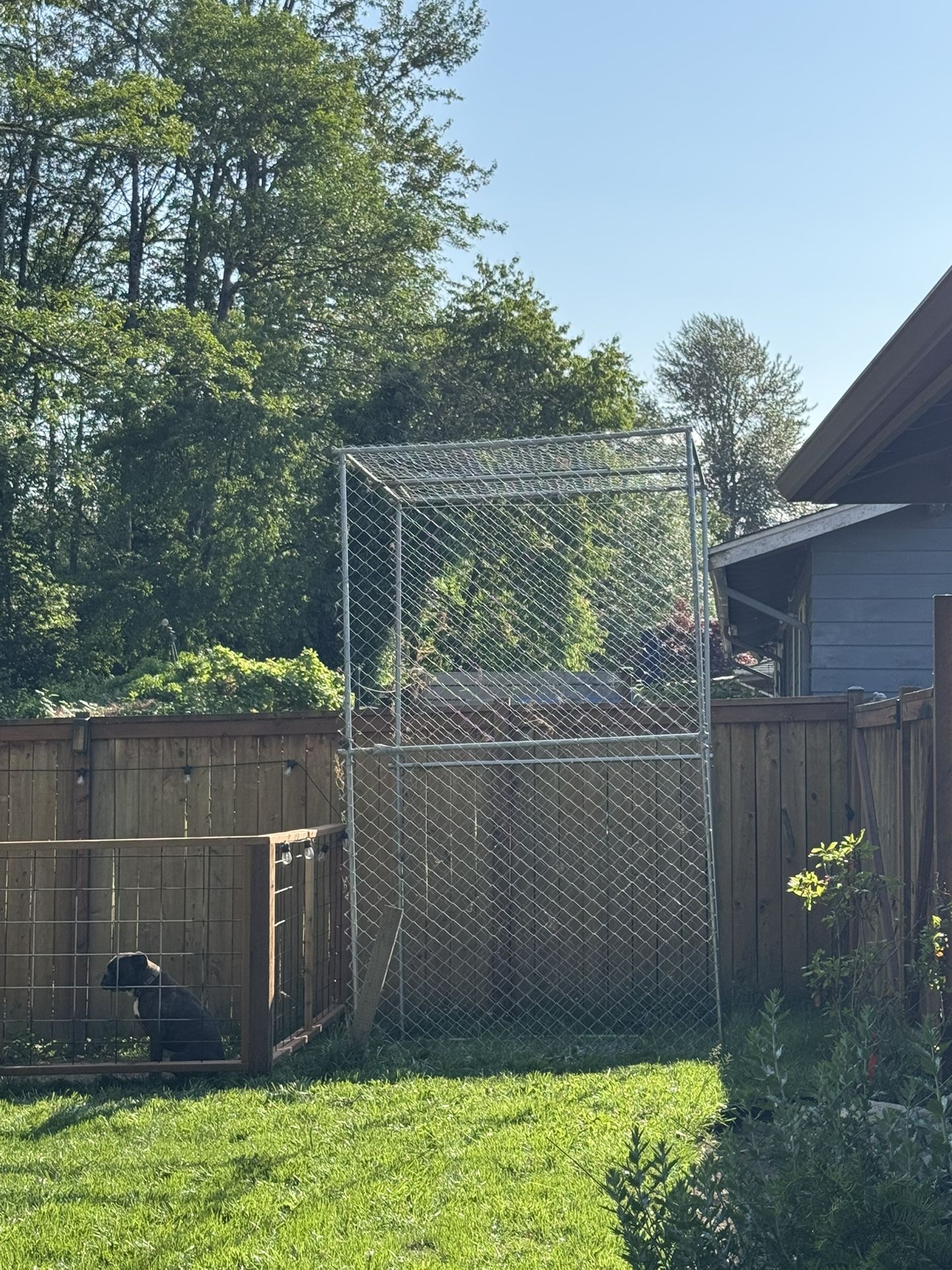 Dog Kennel