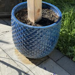 Large Flower Pot