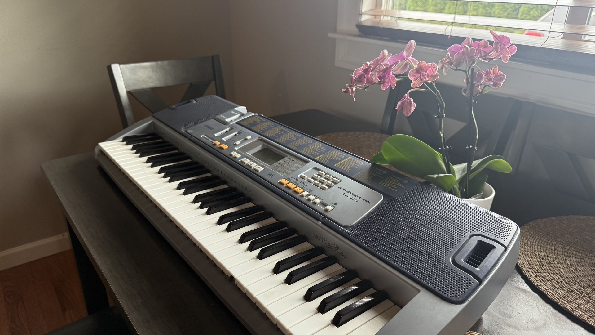 Casio Piano For Beiginners