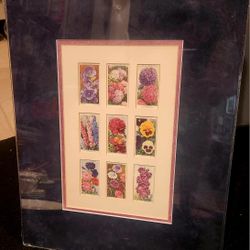 Framed & Matted Antique Garden Flower Tobacco Cards 
