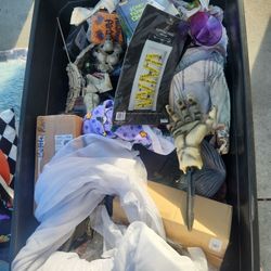 Halloween Box
