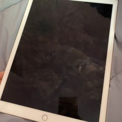 iPad Pro 12.9 Inch 2nd Generation 