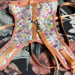 Small Animal Harness