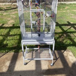 Bird Cage 