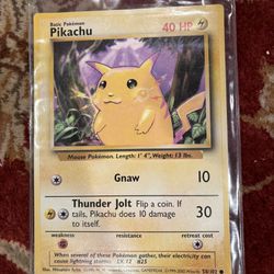 Limited Edition Large Pikachu Pokémon Card Collector Edition 