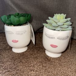 Cute Small Plant Decoration 