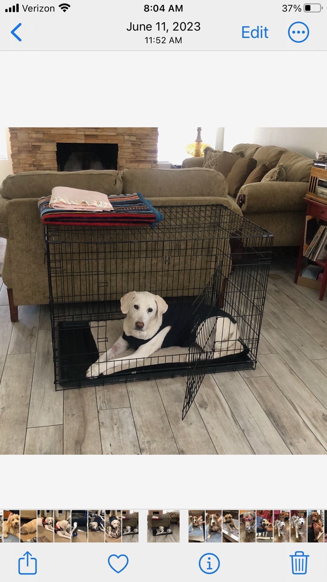 Pet Crate - X-Lrg