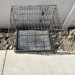 Small Dog Crate