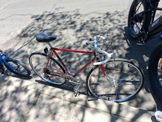 1980 Raleigh Super Record Model