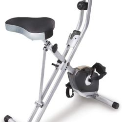 Exerpeutic Folding magnetic Upright bike 