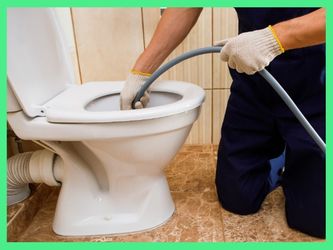 Snake Toilet Sink Tub