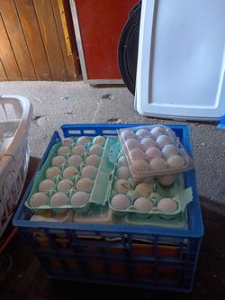 Crate full of gold balls