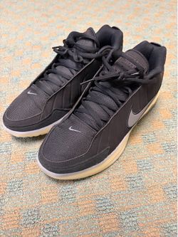 LeBron Witness 9  Basketball Shoes