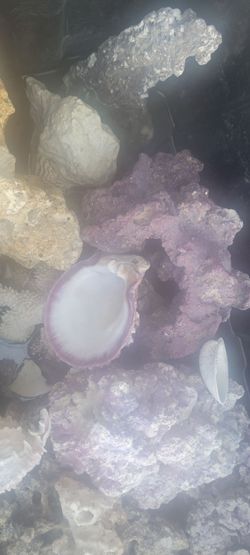 Salt water Rocks and Sand