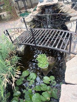 Complete pond!!