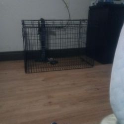Dog Kennel Create
