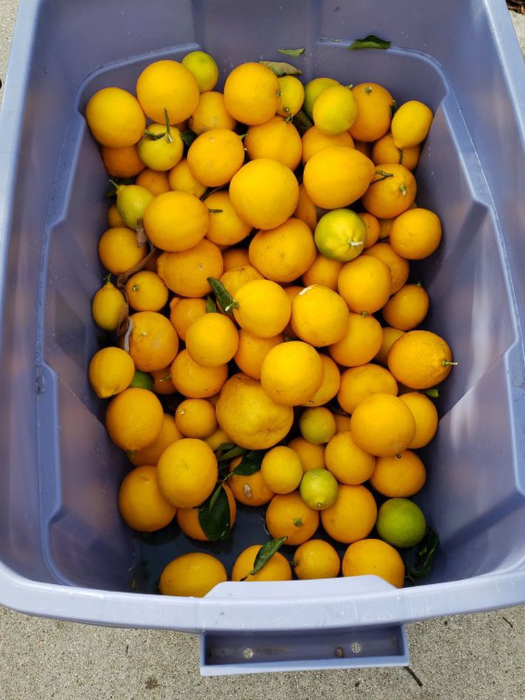 Free Lemons