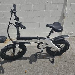 Electric Bike