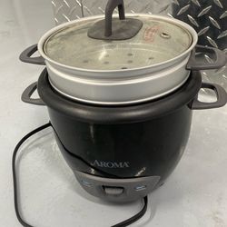 Personal Rice cooker / Steamer- electric