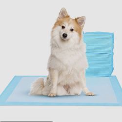 Blue Absorbent Dog