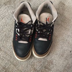 desert elephant jordan 3s