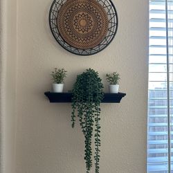 Everything In This Pic $25