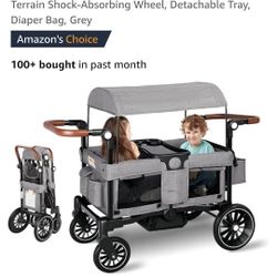 Folding Wagon Stroller